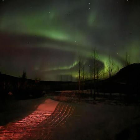 Golden Circle Cabin, Hot Tub Villa เกย์ซีร์ ภายนอก รูปภาพ