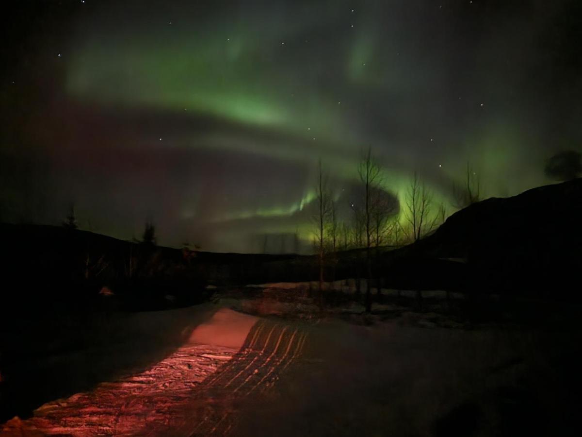 Golden Circle Cabin, Hot Tub Villa เกย์ซีร์ ภายนอก รูปภาพ