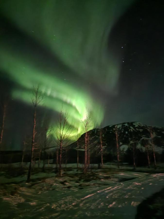 Golden Circle Cabin, Hot Tub Villa เกย์ซีร์ ภายนอก รูปภาพ
