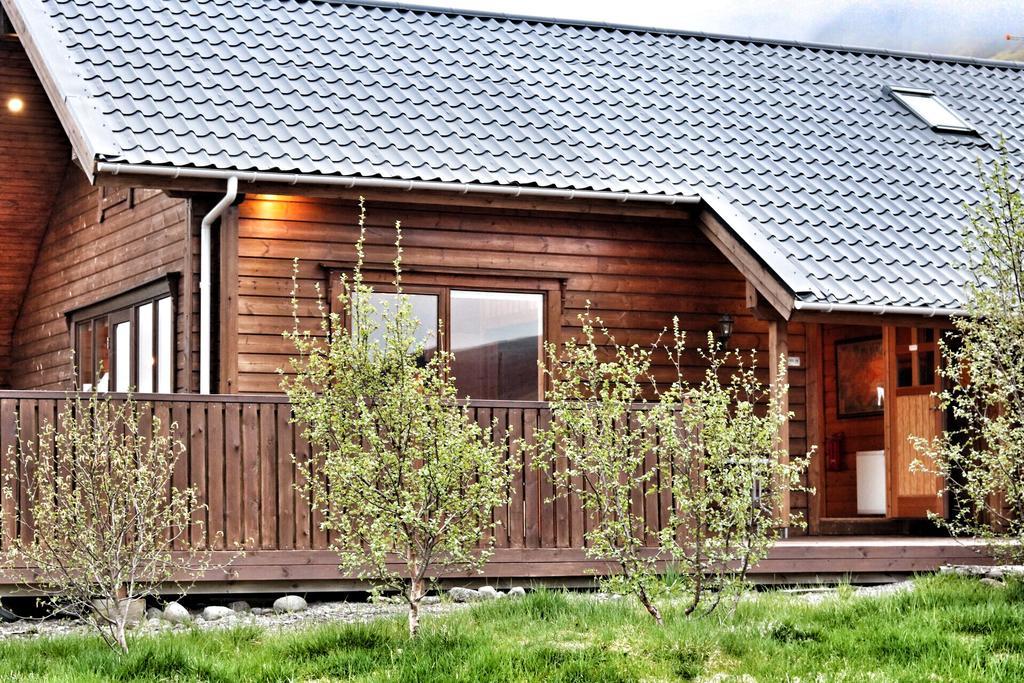 Golden Circle Cabin, Hot Tub Villa เกย์ซีร์ ภายนอก รูปภาพ